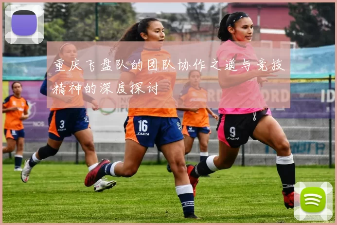 重庆飞盘队的团队协作之道与竞技精神的深度探讨