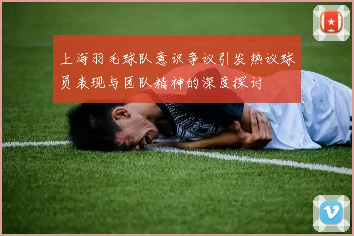 上海羽毛球队意识争议引发热议球员表现与团队精神的深度探讨