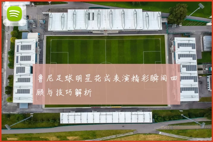 鲁尼足球明星花式表演精彩瞬间回顾与技巧解析