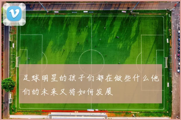 足球明星的孩子们都在做些什么他们的未来又将如何发展