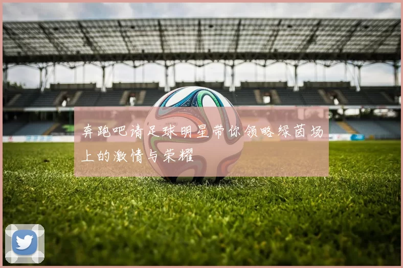 奔跑吧请足球明星带你领略绿茵场上的激情与荣耀