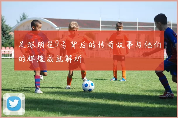 足球明星9号背后的传奇故事与他们的辉煌成就解析