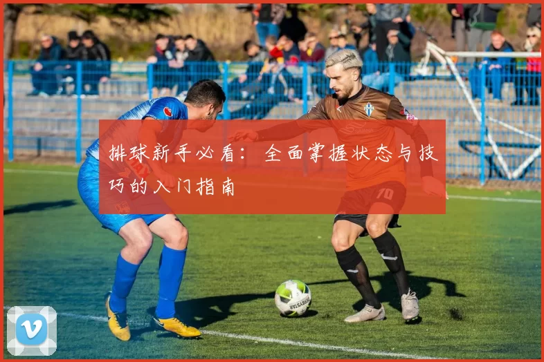 排球新手必看：全面掌握状态与技巧的入门指南