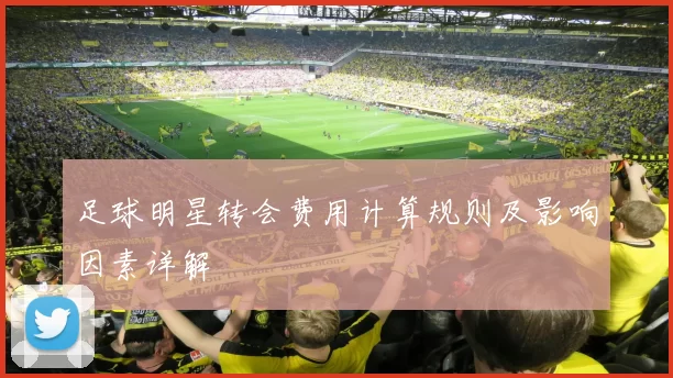 足球明星转会费用计算规则及影响因素详解