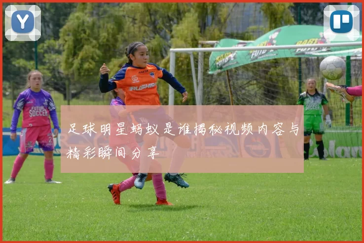 足球明星蚂蚁是谁揭秘视频内容与精彩瞬间分享