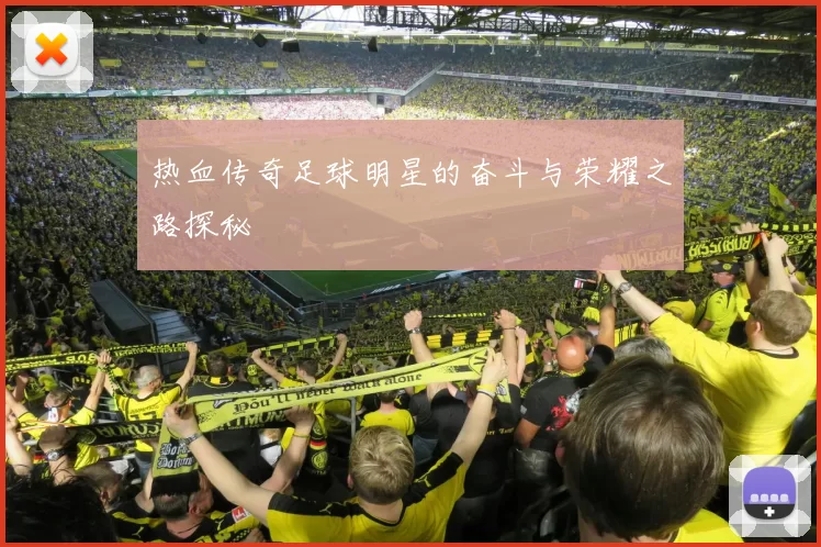 热血传奇足球明星的奋斗与荣耀之路探秘