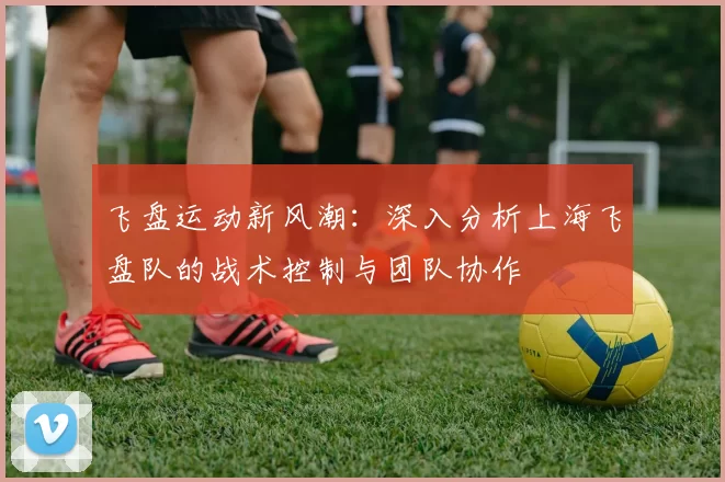 飞盘运动新风潮：深入分析上海飞盘队的战术控制与团队协作