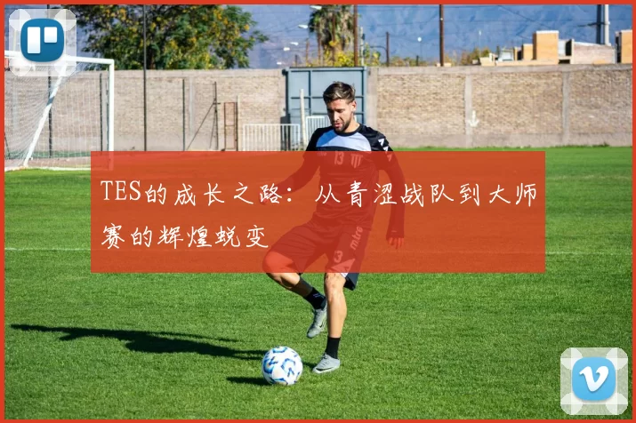 TES的成长之路：从青涩战队到大师赛的辉煌蜕变