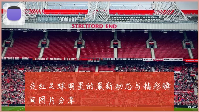 走红足球明星的最新动态与精彩瞬间图片分享