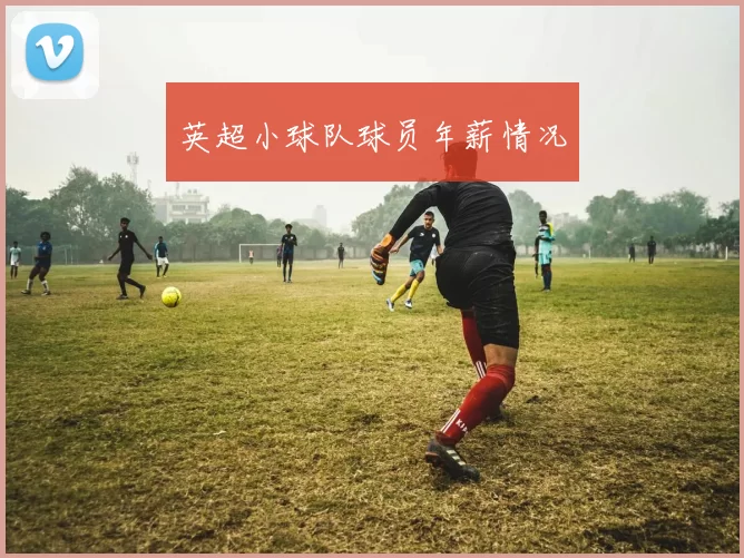 英超小球队球员年薪情况