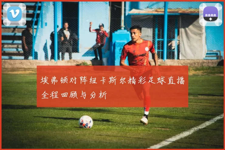 埃弗顿对阵纽卡斯尔精彩足球直播全程回顾与分析