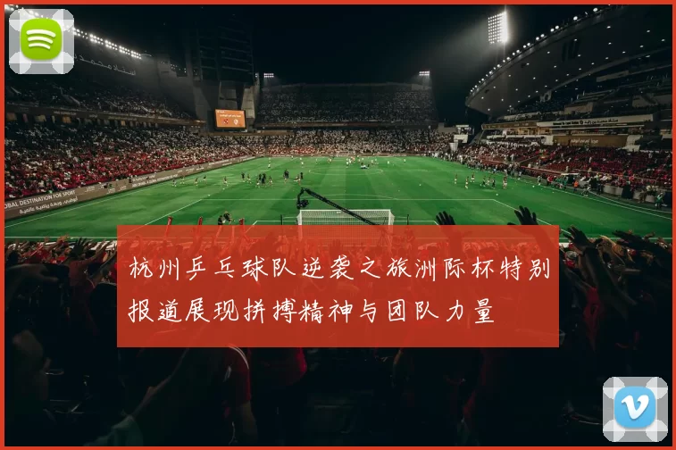 杭州乒乓球队逆袭之旅洲际杯特别报道展现拼搏精神与团队力量