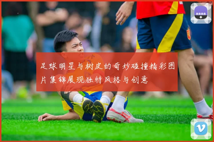 足球明星与树皮的奇妙碰撞精彩图片集锦展现独特风格与创意