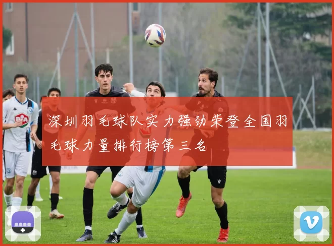 深圳羽毛球队实力强劲荣登全国羽毛球力量排行榜第三名