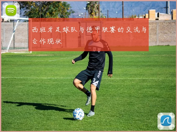 西班牙足球队与德甲联赛的交流与合作现状