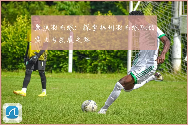 聚焦羽毛球：探索杭州羽毛球队的实力与发展之路
