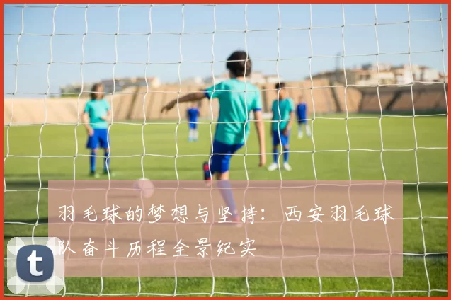 羽毛球的梦想与坚持：西安羽毛球队奋斗历程全景纪实