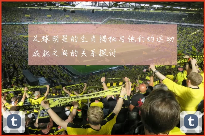 足球明星的生肖揭秘与他们的运动成就之间的关系探讨
