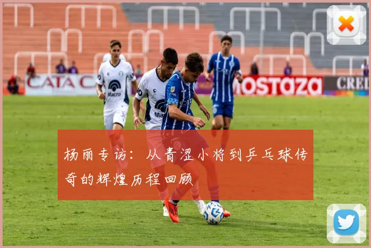 杨丽专访：从青涩小将到乒乓球传奇的辉煌历程回顾