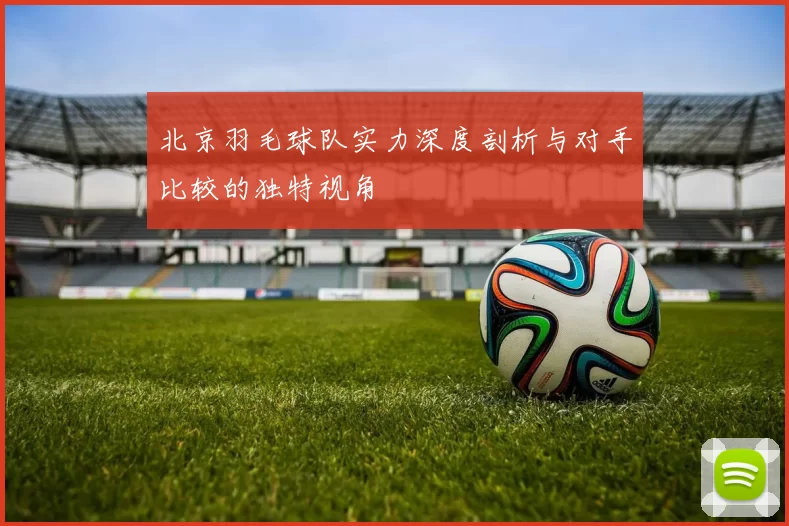 北京羽毛球队实力深度剖析与对手比较的独特视角