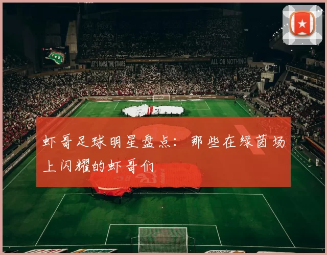 虾哥足球明星盘点：那些在绿茵场上闪耀的虾哥们