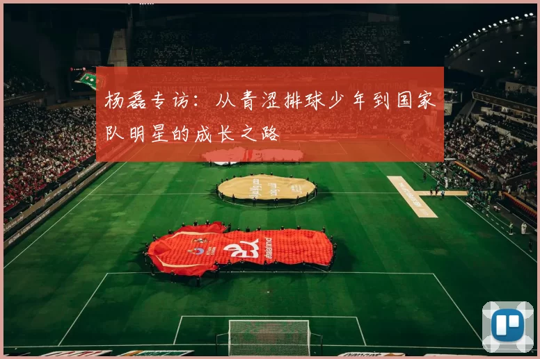 杨磊专访：从青涩排球少年到国家队明星的成长之路