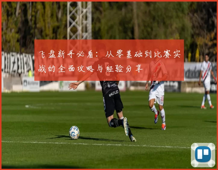 飞盘新手必看：从零基础到比赛实战的全面攻略与经验分享