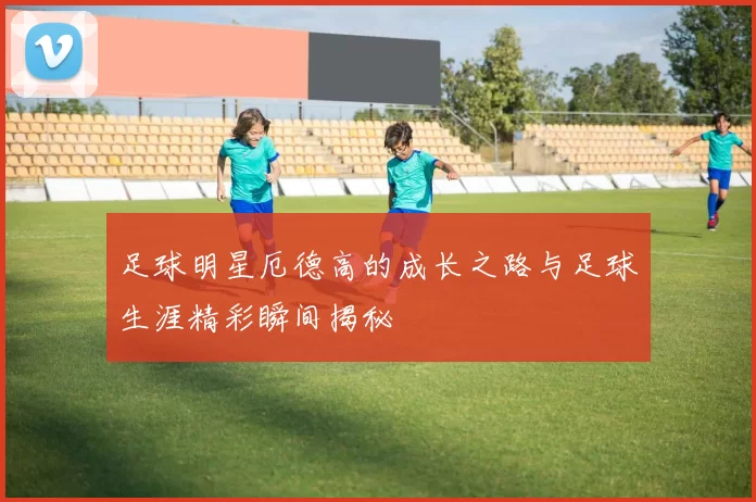 足球明星厄德高的成长之路与足球生涯精彩瞬间揭秘