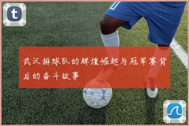 武汉排球队的辉煌崛起与冠军赛背后的奋斗故事
